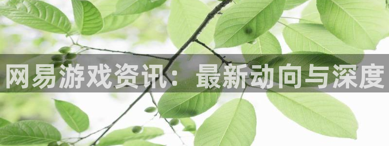 星欧娱乐平台官网客服电话：网易游戏资讯：最新动向与深度