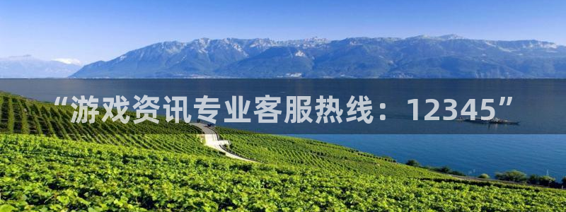 星欧娱乐主管：“游戏资讯专业客服热线：12345”
