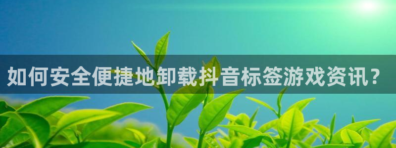 星欧娱乐平台登陆：如何安全便捷地卸载抖音标签游戏资讯？