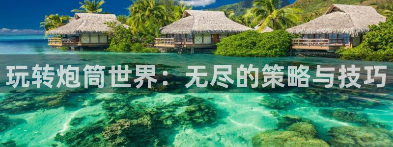 星欧娱乐2首页登录：玩转炮筒世界：无尽的策略与技巧