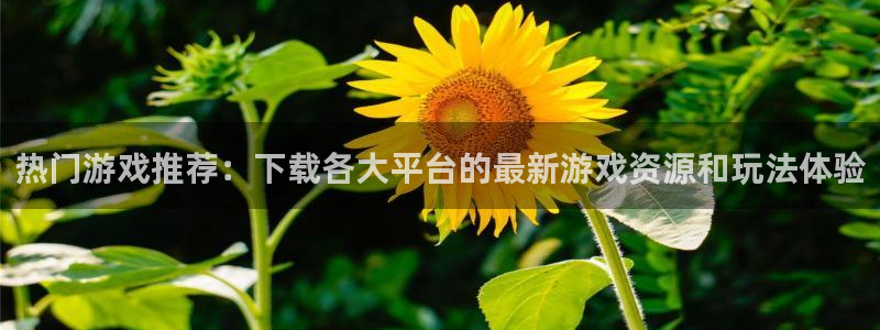 星欧娱乐注册登录：热门游戏推荐：下载各大平台的最新游戏资源和