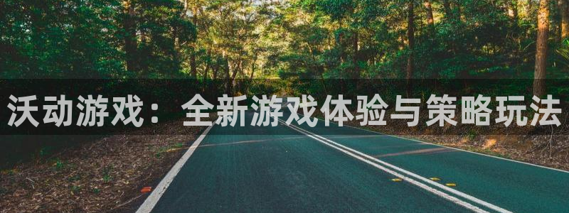星欧娱乐平台负责人：沃动游戏：全新游戏体验与策略玩法