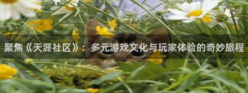 星欧娱乐平台官网注册