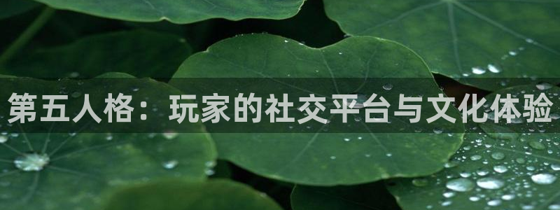 星欧娱乐测速登陆