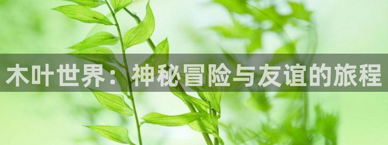 星欧娱乐登录地址：木叶世界：神秘冒险与友谊的旅程