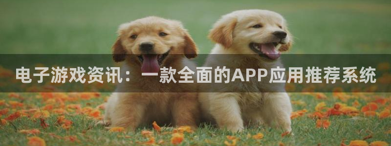 星欧娱乐官方登录网址：电子游戏资讯：一款全面的APP应用推荐