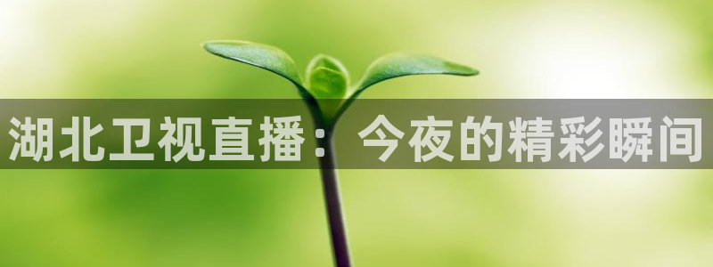 绿茵直播体育nba：湖北卫视直播：今夜的精彩瞬间