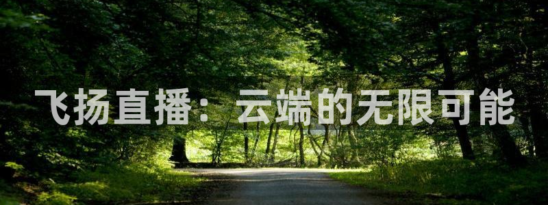 绿茵体育直播官网：飞扬直播：云端的无限可能