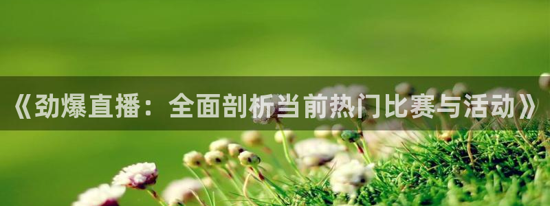 nba免费直播在线直播绿茵：《劲爆直播：全面剖析当前热门比赛与活动》