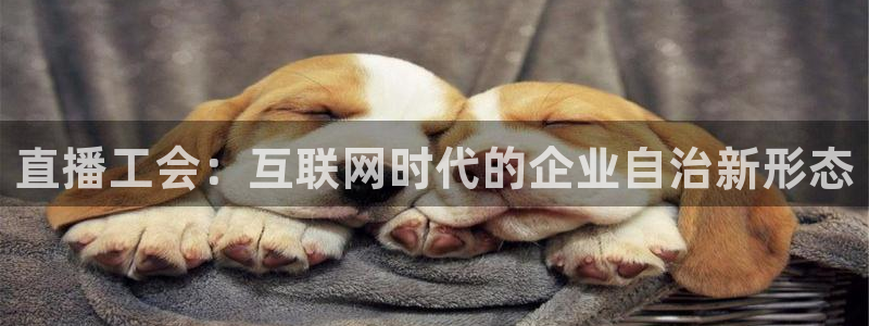 绿茵体育在线观看
