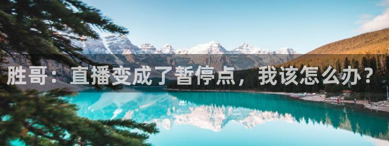 绿茵足球高清直播：胜哥：直播变成了暂停点，我该怎么办？