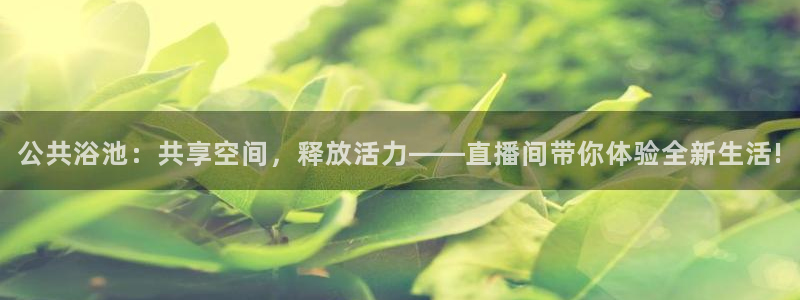 绿茵足球高清直播：公共浴池：共享空间，释放活力——直播间带你体验全新生活!